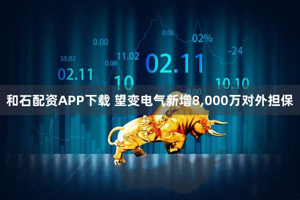 和石配资APP下载 望变电气新增8,000万对外担保