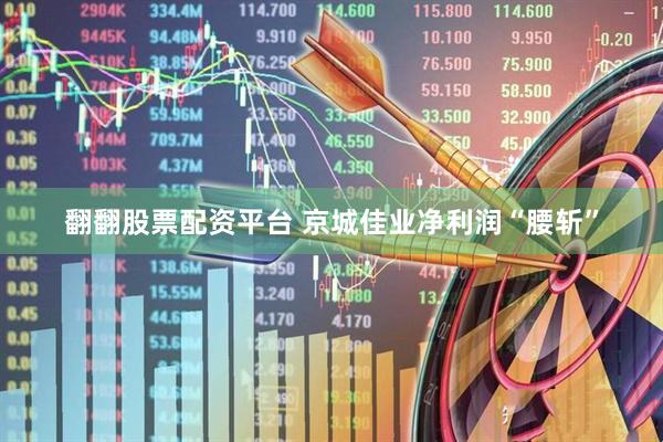 翻翻股票配资平台 京城佳业净利润“腰斩”