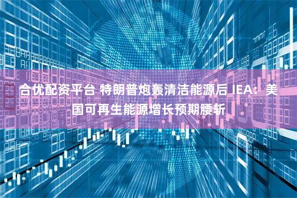 合优配资平台 特朗普炮轰清洁能源后 IEA：美国可再生能源增长预期腰斩