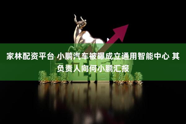 家林配资平台 小鹏汽车被曝成立通用智能中心 其负责人向何小鹏汇报