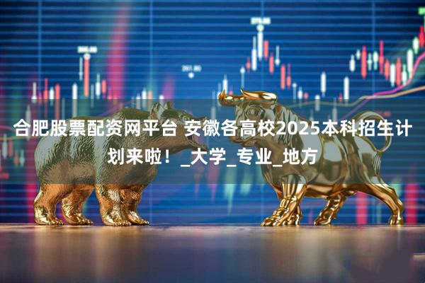 合肥股票配资网平台 安徽各高校2025本科招生计划来啦！_大学_专业_地方