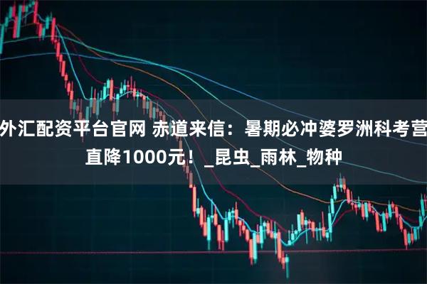 外汇配资平台官网 赤道来信：暑期必冲婆罗洲科考营直降1000元！_昆虫_雨林_物种