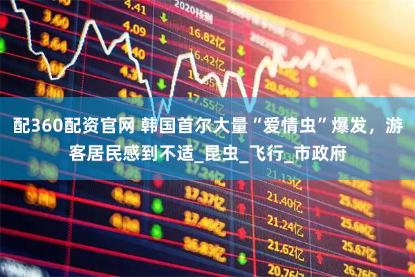 配360配资官网 韩国首尔大量“爱情虫”爆发，游客居民感到不适_昆虫_飞行_市政府