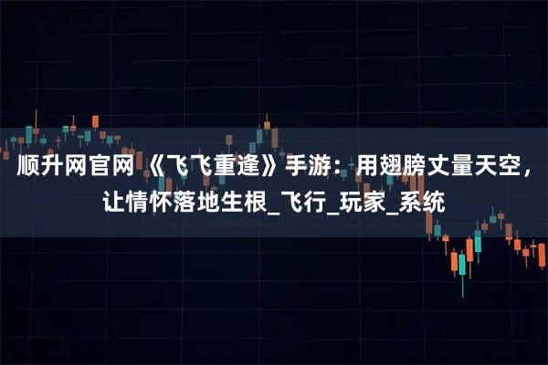 顺升网官网 《飞飞重逢》手游：用翅膀丈量天空，让情怀落地生根_飞行_玩家_系统