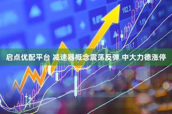 启点优配平台 减速器概念震荡反弹 中大力德涨停