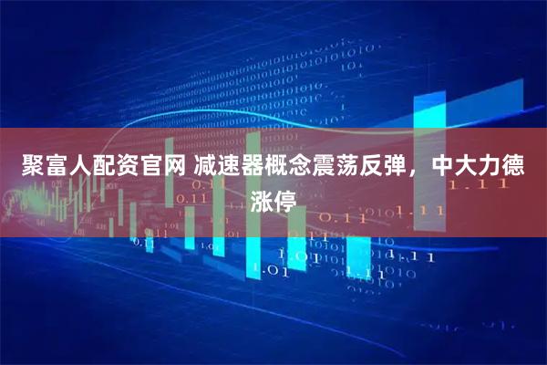 聚富人配资官网 减速器概念震荡反弹，中大力德涨停