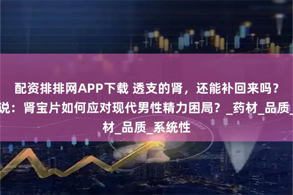 配资排排网APP下载 透支的肾，还能补回来吗？中医解说：肾宝片如何应对现代男性精力困局？_药材_品质_系统性