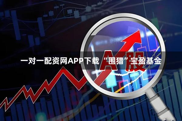 一对一配资网APP下载 “围猎”宝盈基金