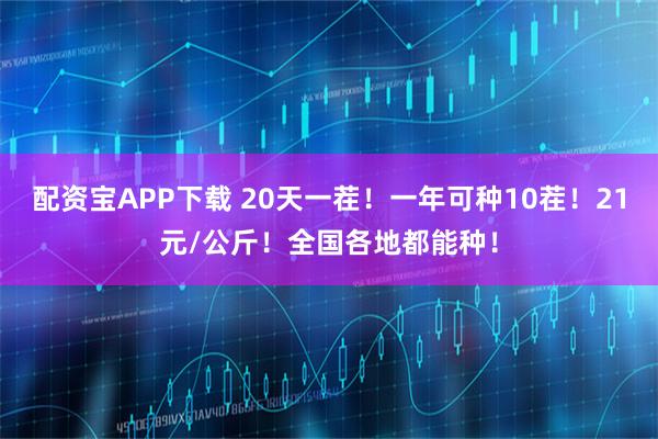 配资宝APP下载 20天一茬！一年可种10茬！21元/公斤！全国各地都能种！