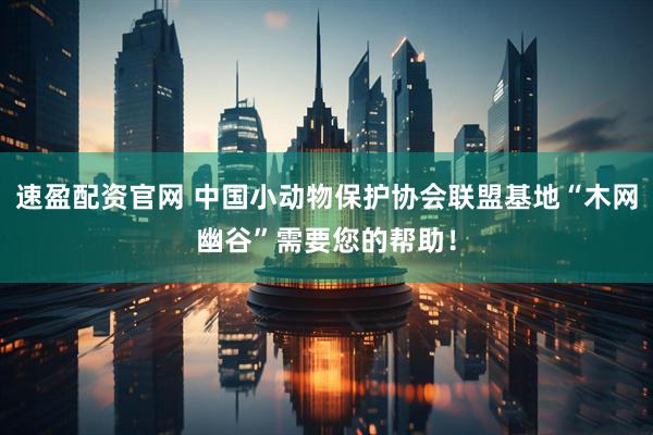 速盈配资官网 中国小动物保护协会联盟基地“木网幽谷”需要您的帮助！